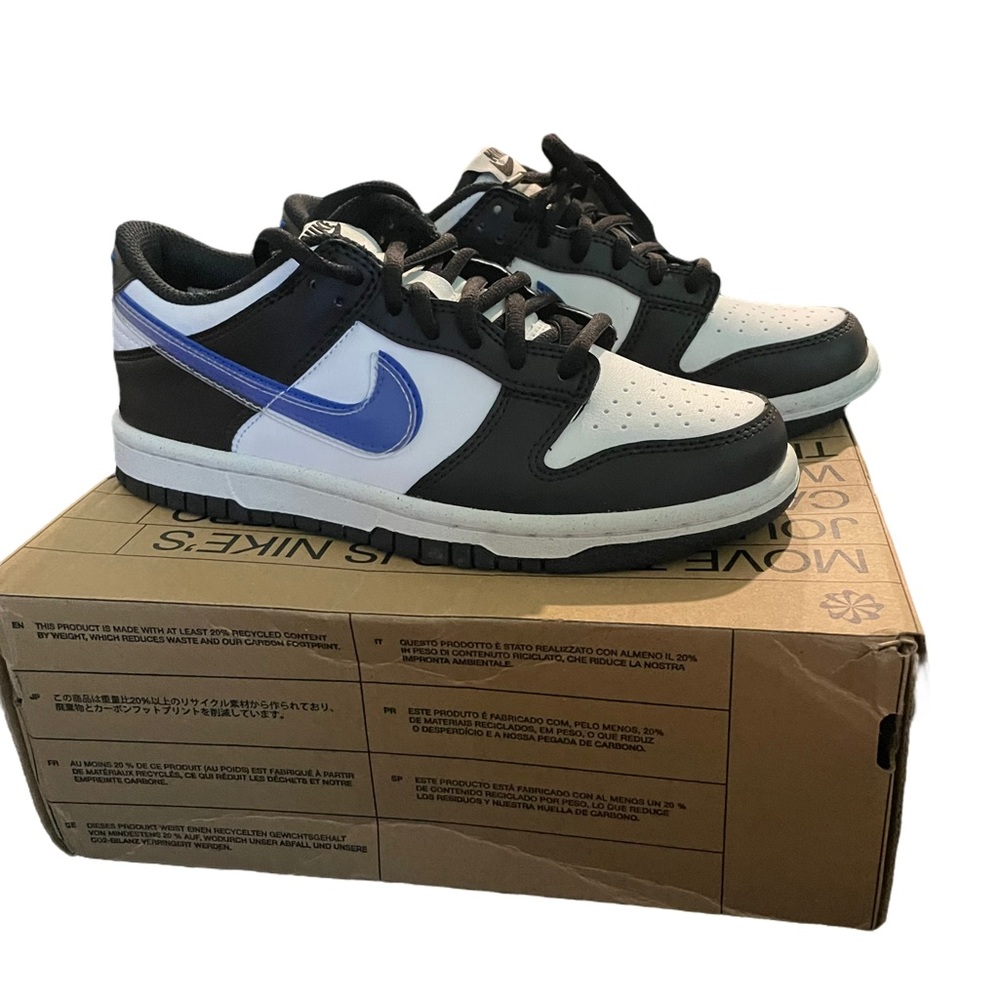 Nike Dunk Low Next Nature TPU Swoosh sneakers